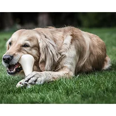 Nylabone Extreme Chicken - tvirtas ir stiprus kramtomasis žaislas dideliems šunims, su vištienos skoniu, Bone / XXL — 2 nuotrauka