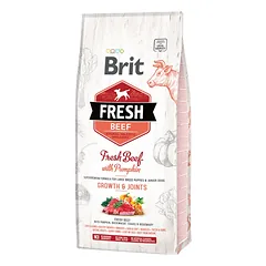 Brit Fresh Beef with Pumpkin Puppy Large
