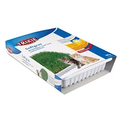 Trixie Soft Grass natūrali žolė katėms ir kačiukams su indeliu auginimui, 100 g
