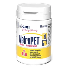 GIGI Nefro PET paplidas šunims ir katėms inkstų veiklai palaikyti 30 tab