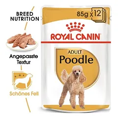 Royal Canin Poodle Adult sausas maistas šunims