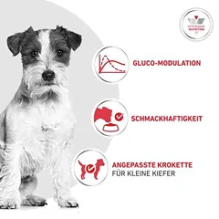 Royal Canin Veterinary Canine Glycobalance Small Dog sausas maistas šunims, 1,5 - 2,9 kg — 3 nuotrauka