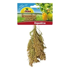 Dekoratyvinių paukščių pašaro papildas - sorų šluotelė