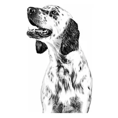 Royal Canin Vet VHN Hypoallergenic skanėstai šunims 230 g — 3 nuotrauka