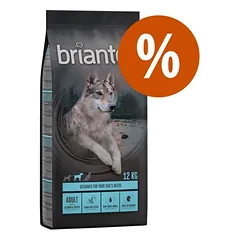 Briantos Sparpaket (2 x Großgebinde)