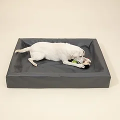 Modern Living guolis šunims Granit, Dideliems 26–45 kg — 5 nuotrauka