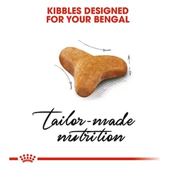 ROYAL CANIN FBN Cat Bengal sausas maistas suaugusioms Bengalijos veislės katėms 10 kg — 2 nuotrauka