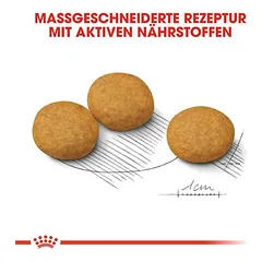 Royal Canin Medium Dermacomfort sausas maistas šunims — 3 nuotrauka