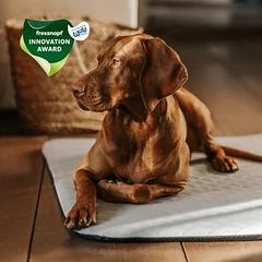 Manuly Set | Hunde Isomatte mit Cooling  Aqua (Grau) Bezug