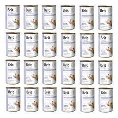 BRIT Veterinary Diet Gastrointestinal lašišos ir žirnių ėdalas jautriai virškinimo sistemai šunims 24x400g