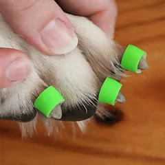ToeGrips Anti-Rutsch-Hundehilfe