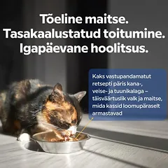 Visų veislių suaugusių kačių šlapių pašarų rinkinys, 4x85 g — 5 nuotrauka