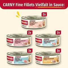animonda Carny Adult Fine Fillets in Soße 12 x 60 g