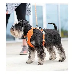 Dog Copenhagen Comfort Walk Pro petnešos, rudos, XL — 5 nuotrauka