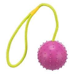 Trixie Ball On A Rope žaislas šunims, iš natūralaus kaučiuko, ø 7 cm / 30 cm