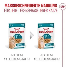 Royal Canin Ageing 11+ drebučiuose, drėgnas maistas katėms, 12 x 85 g — 4 nuotrauka