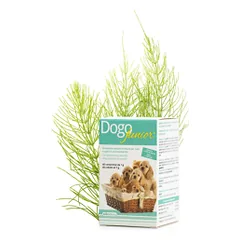 DOGOTEKA DOGOjunior 60 tabl.