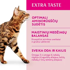 OPTIMEAL™ sausas pašaras suaugusioms katėms su veršiena, 4 kg — 2 nuotrauka
