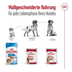Royal Canin Medium Adult Mousse drėgnas maistas šunims — 5 nuotrauka