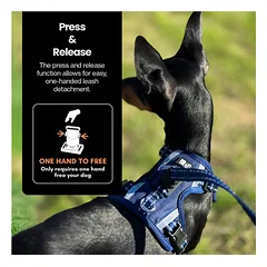 OURDOGSLIFE magnetinės šunų petnešos + 2 m pavadėlis (komplektas), M, mėlyna — 5 nuotrauka