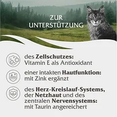 Wild Freedom Adult 6 x 200 g – begrūdis drėgnas maistas katėms — 3 nuotrauka