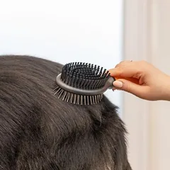 Wahl® dvipusis kailio priežiūros šepetys, oranžinė, L 27,8 x B 6,1 x 7 cm — 4 nuotrauka