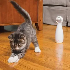 PetSafe® FroliCat® Bolt lazerinis žaislas katėms, 1 vnt. — 2 nuotrauka