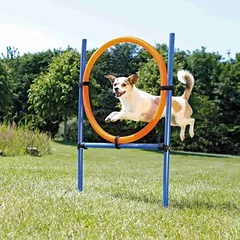 Trixie Agility žiedas 115×3 cm, 65 cm — 2 nuotrauka