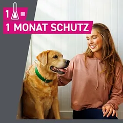 Frontline® TRI-ACT šunims L (20 - 40 kg) — 5 nuotrauka