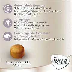 Concept for Life Labrador Sterilised sausas maistas šunims, < 1,4 kg — 5 nuotrauka