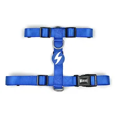 Dashi Solid Back Harness - reguliuojami apsauginiai diržai šunims, Pomarańczowe / M — 5 nuotrauka