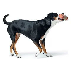 HUNTER Tough Pombas  treniruočių žaislas su skanukais šunims, 20 cm, oranžinis — 3 nuotrauka