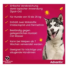 Advantix® 250 Spot-on für Hunde, von 10 bis 25 kg