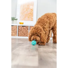 TRIXIE Denta Fun mėtinis kamuolys natūrali guma ø 6 cm parduotuvėje Petz.lt