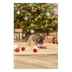 TRIXIE Xmas Spurga-briedis, pliušas, 14 cm, su garsu (pak.3), 1 vnt. — 3 nuotrauka