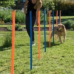 zooplus Exclusive Agility rinkinys: Fun & Sport rinkinys šunims, Ekonominė pakuotė su 3 atskirais elementais — 4 nuotrauka
