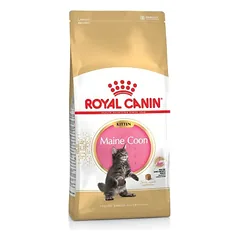 ROYAL CANIN Kitten Maine Coon sausas pašaras kačiukams iki 1 metų