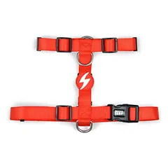 Dashi Solid Back Harness Red - reguliuojami raudoni šunų petnešos su apsauga