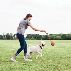 Chuckit! Rope Fetch - nesunaikinamas kamuolys šunims su virve, skirtas mėtymui, kasimui ir tampymui — 2 nuotrauka