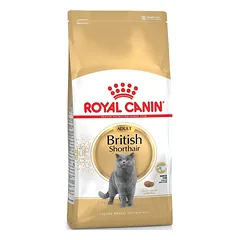 ROYAL CANIN British Shorthair sausas pašaras katėms