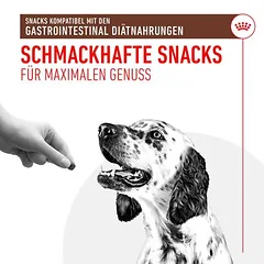 Royal Canin Gastrointestinal Snacks skanėstai šunims — 5 nuotrauka