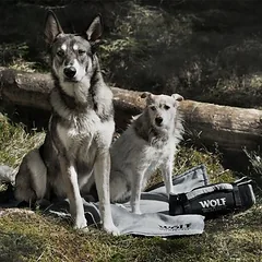 Wolf of Wilderness kelioninė antklodė šunims