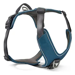 Wolters Geschirr Active Pro Comfort petrol/anthrazit