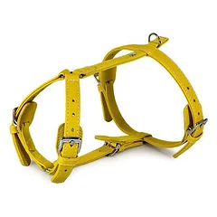 Das Lederband Geschirr Barcelona Vibrant-Yellow