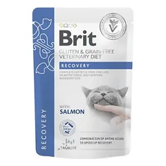 Brit Grain Free Veterinary Diets Recovery bekvilis gydomasis maistas katėms, 85 g nuotrauka