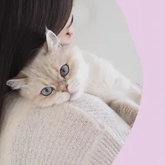 GimCat Nutri Malt Bites skanėstai katėms — 5 nuotrauka