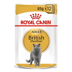 Royal Canin British Shorthair 85 g maišeliai 12 X 85 g