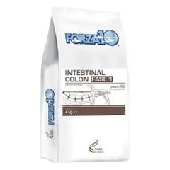 Forza10 Intestinal Colon Fase 1 sausas maistas šunims, sergantiems virškinamojo trakto ligomis, 4 kg