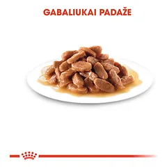 ROYAL CANIN FHN Kitten instinctive in gravy konservai padaže kačiukams 12x85 g — 4 nuotrauka