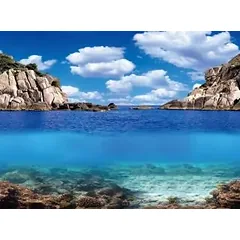 AQUA NOVA fonas augalai/vandenynas 60x30cm — 2 nuotrauka